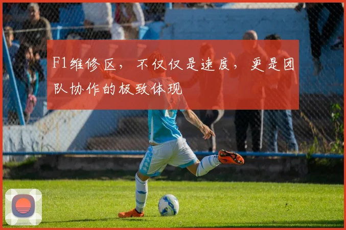 F1维修区，不仅仅是速度，更是团队协作的极致体现
