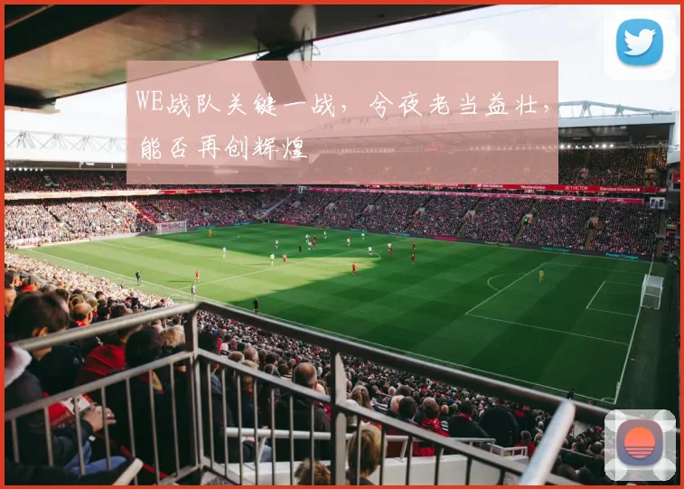 WE战队关键一战，兮夜老当益壮，能否再创辉煌