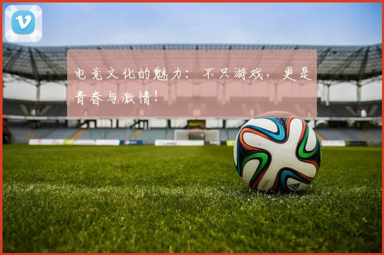 电竞文化的魅力：不只游戏，更是青春与激情！