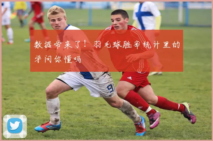 数据帝来了！羽毛球胜率统计里的学问你懂吗