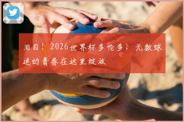 泪目！2026世界杯多伦多，无数球迷的青春在这里绽放