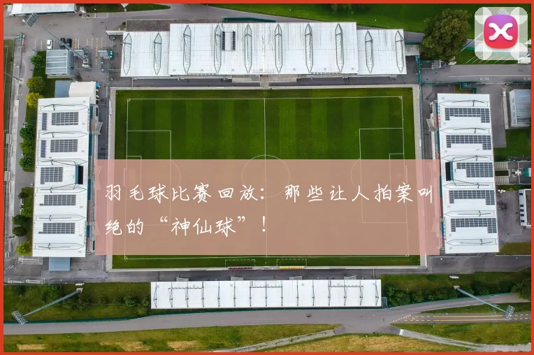 羽毛球比赛回放：那些让人拍案叫绝的“神仙球”！