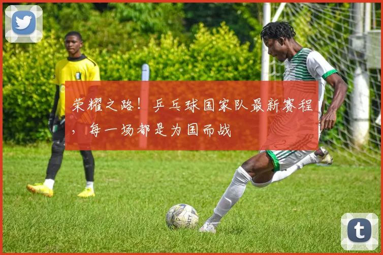 荣耀之路！乒乓球国家队最新赛程，每一场都是为国而战