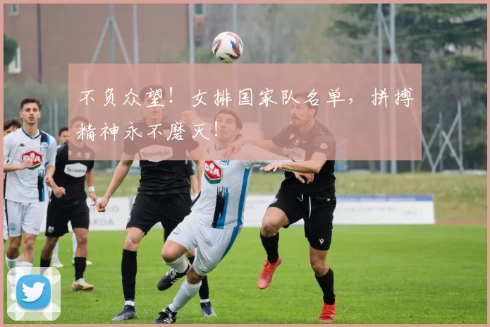不负众望！女排国家队名单，拼搏精神永不磨灭！